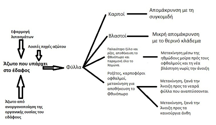 Διάγραμμα 1
