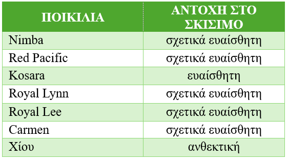 poikilies kerasias pinakas