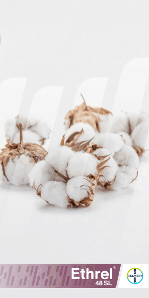 Bayer Crop Science