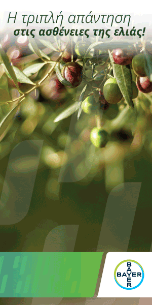 Bayer Crop Science