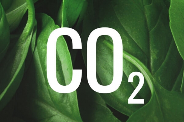 Καλλιέργειες και το απαραίτητο CO2