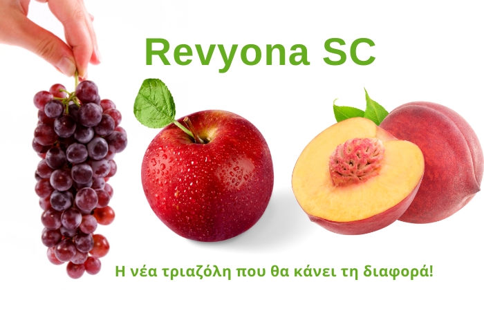Revyona SC - Η νέα τριαζόλη που θα κάνει τη διαφορά!