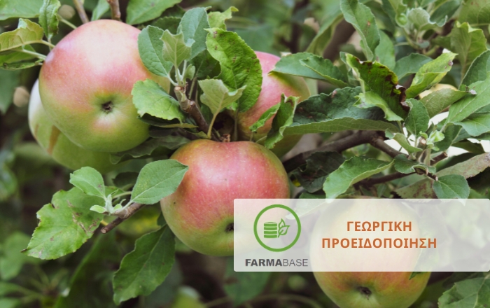 &Phi;&upsilon;&tau;&omicron;&pi;&rho;&omicron;&sigma;&tau;&alpha;&sigma;ί&alpha; &mu;&eta;&lambda;&omicron;&epsilon;&iota;&delta;ώ&nu;: &Alpha;&upsilon;&xi;&eta;&mu;έ&nu;&eta; &eta; 2&eta; &pi;&tau;ή&sigma;&eta; &tau;&eta;&sigmaf; &kappa;&alpha;&rho;&pi;ό&kappa;&alpha;&psi;&alpha;&sigmaf;