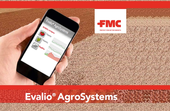 Εμφάνιση Πράσινου σκουλήκιου σε Βιομηχανική τομάτα, ενημερώνει η FMC