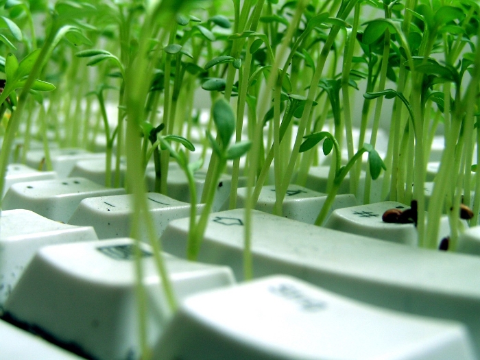 Η τεχνητή νοημοσύνη στη γεωργία... Ψηφιακές καλλιεργητικές δεξιότητες!