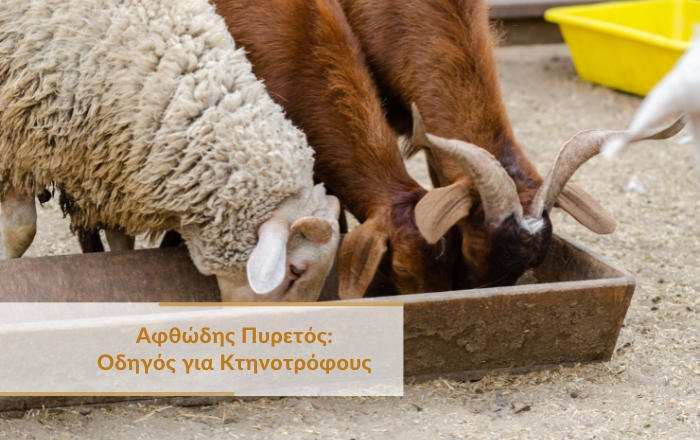 &Alpha;&phi;&theta;ώ&delta;&eta;&sigmaf; &Pi;&upsilon;&rho;&epsilon;&tau;ό&sigmaf;: &Omicron;&delta;&eta;&gamma;ό&sigmaf; &gamma;&iota;&alpha; &Kappa;&tau;&eta;&nu;&omicron;&tau;&rho;ό&phi;&omicron;&upsilon;&sigmaf;