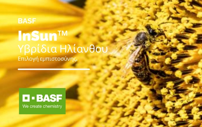 BASF - Για τα υβρίδια ηλίανθου… επίλεξε αυτό που εμπιστεύεσαι