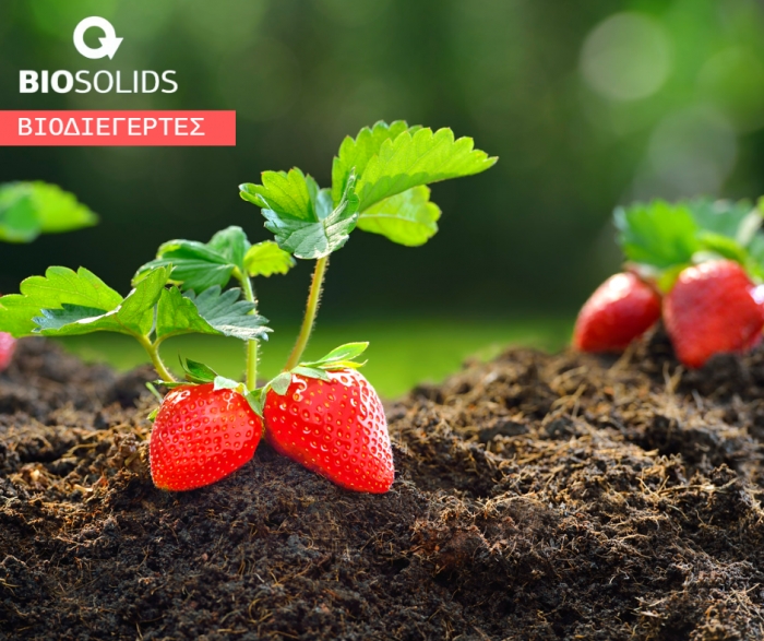RENAISSANSE | GLYSS | AQUAMIN - Γερές βάσεις για μια υγιή &amp; εύρωστη καλλιέργεια Φράουλας