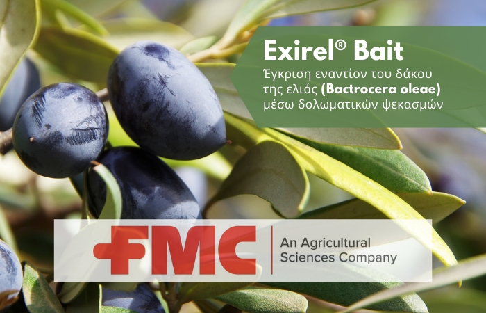 Exirel® Bait - έγκριση εναντίον του δάκου της ελιάς (Bactrocera oleae) μέσω δολωματικών ψεκασμών