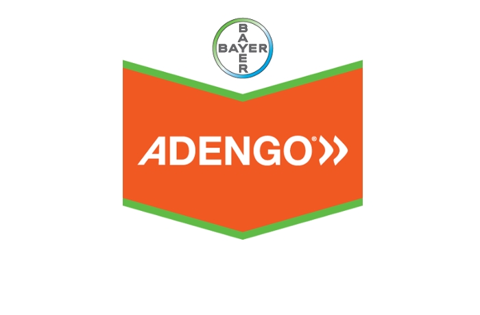 Adengo SC: Το νέο πλήρες ζιζανιοκτόνο καλαμποκιού για έγκαιρο και ισχυρό έλεγχο των ζιζανίων με απόλυτη ευκολία, από τη Bayer