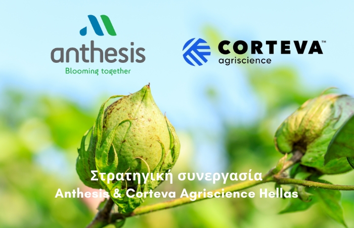 Στρατηγική συνεργασία Anthesis &amp; Corteva Agriscience Hellas για τη διάθεση καινοτόμου προϊόντος φυτοπροστασίας