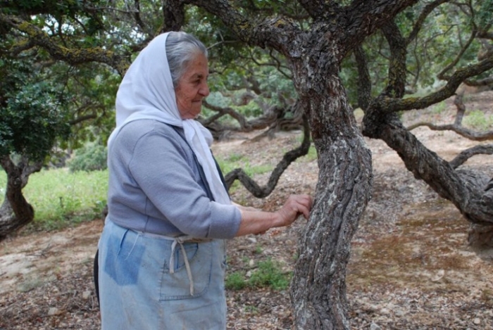 Νέοι συνταξιούχοι ενεργοί αγρότες χάνουν 60%