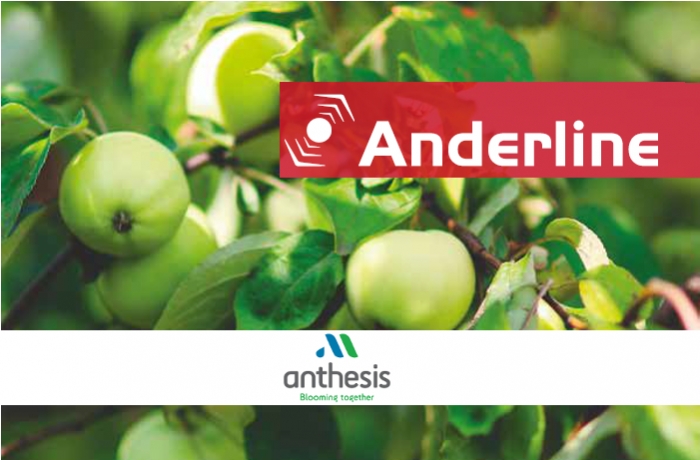 Anderline -  Η βιολογική λύση για τον Τετράνυχο σε Πυρηνόκαρπα &amp; Μηλοειδή