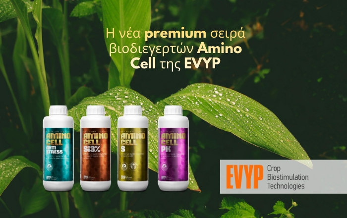 &Eta; &nu;έ&alpha; premium &sigma;&epsilon;&iota;&rho;ά &beta;&iota;&omicron;&delta;&iota;&epsilon;&gamma;&epsilon;&rho;&tau;ώ&nu; Amino Cell &tau;&eta;&sigmaf; EVYP