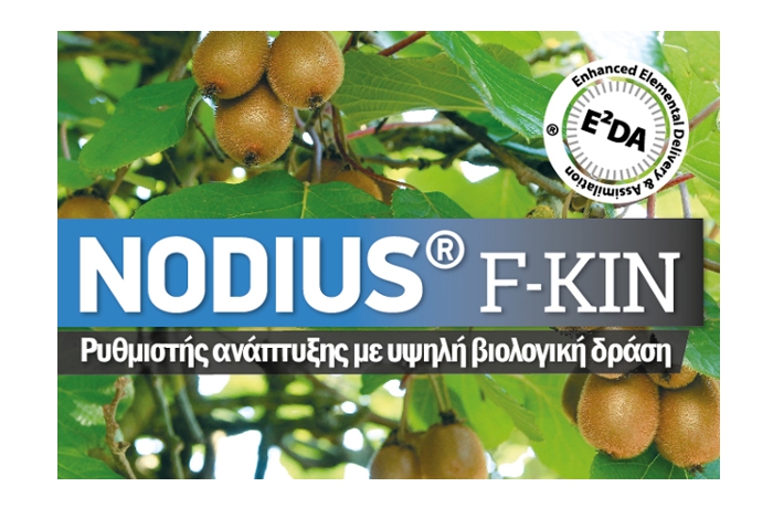 H επίδραση του Nodius® F-Kin Ε2DA στην αύξηση μεγέθους των καρπών ακτινιδίων