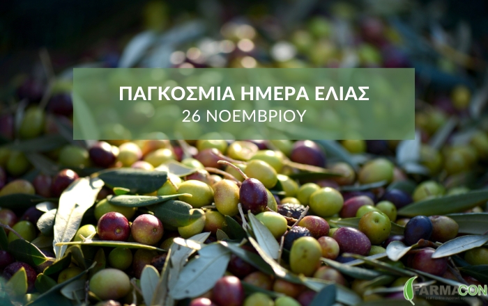 26 Νοεμβρίου: Η Παγκόσμια Ημέρα Ελιάς και η σημασία της για τη γεωργία