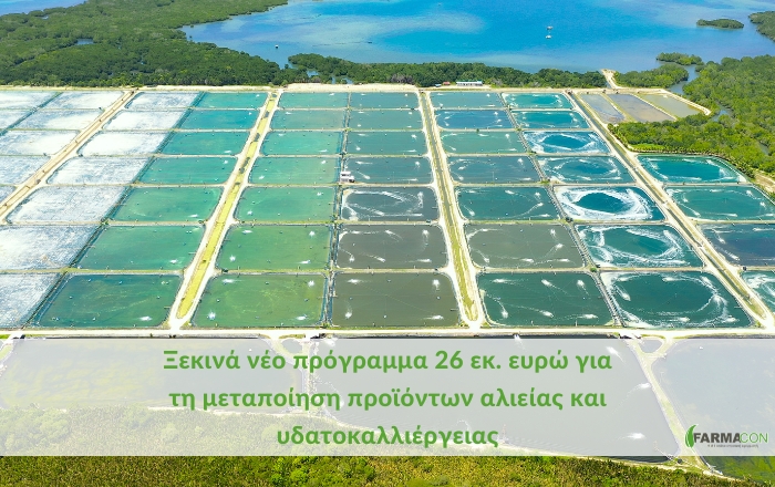 Ξεκινά νέο πρόγραμμα 26 εκ. ευρώ για τη μεταποίηση προϊόντων αλιείας και υδατοκαλλιέργειας