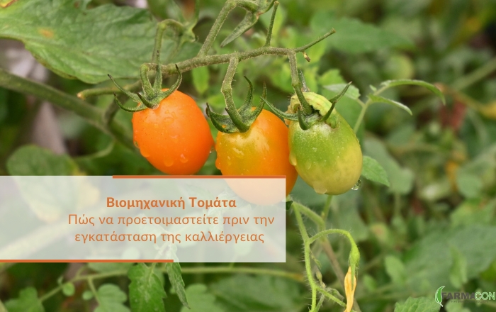 &Pi;ώ&sigmaf; &nu;&alpha; &pi;&rho;&omicron;&epsilon;&tau;&omicron;&iota;&mu;&alpha;&sigma;&tau;&epsilon;ί&tau;&epsilon; &pi;&rho;&iota;&nu; &tau;&eta;&nu; &epsilon;&gamma;&kappa;&alpha;&tau;ά&sigma;&tau;&alpha;&sigma;&eta; &tau;&eta;&sigmaf; &kappa;&alpha;&lambda;&lambda;&iota;έ&rho;&gamma;&epsilon;&iota;&alpha;&sigmaf; &Beta;&iota;&omicron;&mu;&eta;&chi;&alpha;&nu;&iota;&kappa;ή&sigmaf; &Tau;&omicron;&mu;ά&tau;&alpha;&sigmaf;