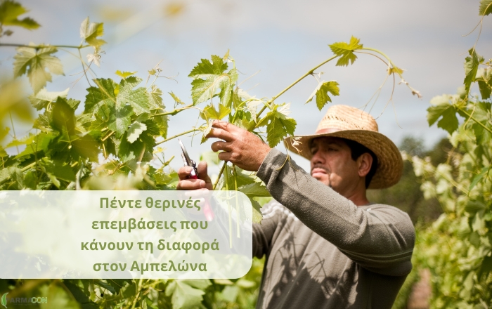 &Pi;έ&nu;&tau;&epsilon; &theta;&epsilon;&rho;&iota;&nu;έ&sigmaf; &epsilon;&pi;&epsilon;&mu;&beta;ά&sigma;&epsilon;&iota;&sigmaf; &pi;&omicron;&upsilon; &kappa;ά&nu;&omicron;&upsilon;&nu; &tau;&eta; &delta;&iota;&alpha;&phi;&omicron;&rho;ά &sigma;&tau;&omicron;&nu; &Alpha;&mu;&pi;&epsilon;&lambda;ώ&nu;&alpha;