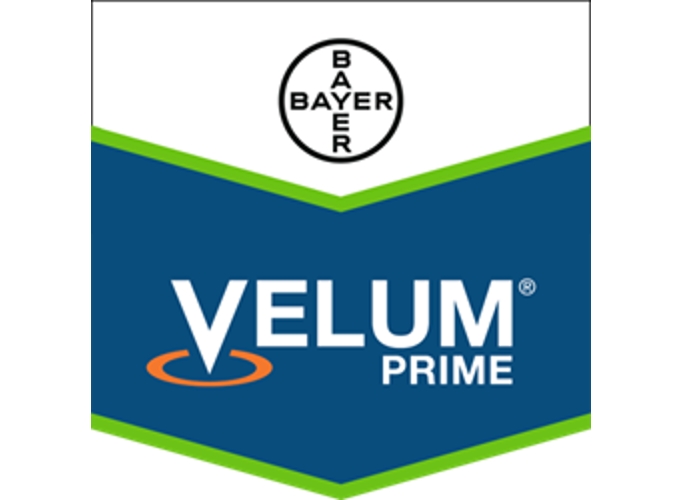 Velum Prime -  To νέο επαναστατικό και καινοτόμο νηματωδοκτόνο από τη Bayer με μοναδικό τρόπο δράσης
