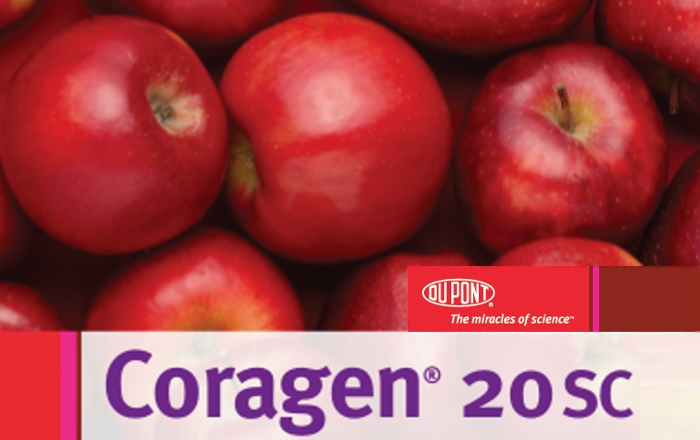 Coragen 20SC - Υψηλή απόδοση ενάντια στα έντομα των μήλων