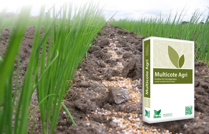 Tα πολλαπλά οφέλη των Multicote® Agri στη θρέψη φυτών μεγάλης καλλιεργητικής περιόδου