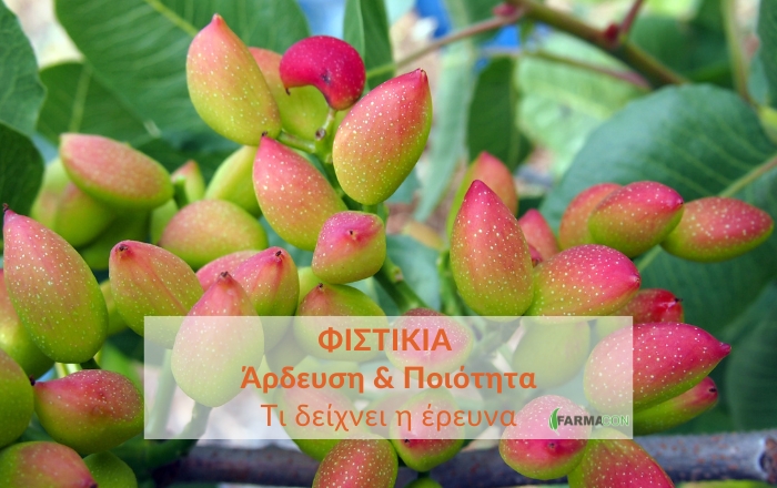 &Phi;&iota;&sigma;&tau;ί&kappa;&iota;&alpha;: Ά&rho;&delta;&epsilon;&upsilon;&sigma;&eta; &kappa;&alpha;&iota; &pi;&omicron;&iota;ό&tau;&eta;&tau;&alpha; &kappa;&alpha;&rho;&pi;&omicron;ύ - &tau;&iota; &delta;&epsilon;ί&chi;&nu;&epsilon;&iota; &eta; έ&rho;&epsilon;&upsilon;&nu;&alpha;