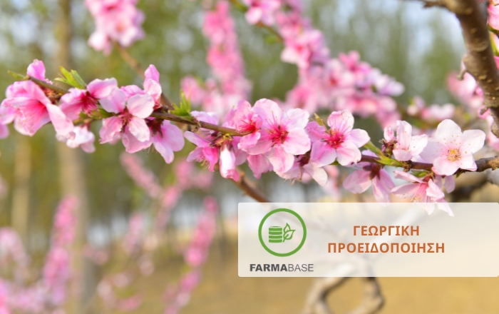 &Pi;ώ&sigmaf; &nu;&alpha; &pi;&rho;&omicron;&sigma;&tau;&alpha;&tau;&epsilon;ύ&sigma;&epsilon;&tau;&epsilon; &nu;&epsilon;&kappa;&tau;&alpha;&rho;&iota;&nu;&iota;έ&sigmaf; &kappa;&alpha;&iota; &rho;&omicron;&delta;&alpha;&kappa;&iota;&nu;&iota;έ&sigmaf; &alpha;&pi;ό &tau;&omicron;&upsilon;&sigmaf; &theta;&rho;ί&pi;&epsilon;&sigmaf;