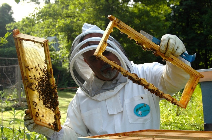 Εγκύκλιος για τη βελτίωση συνθηκών παραγωγής και εμπορίας προϊόντων Μελισσοκομίας για το έτος 2017