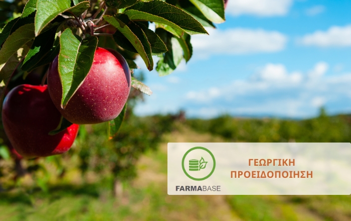 Μηλοειδή: Καλλιεργητικά μέτρα προετοιμασίας για τη χειμερινή περίοδο