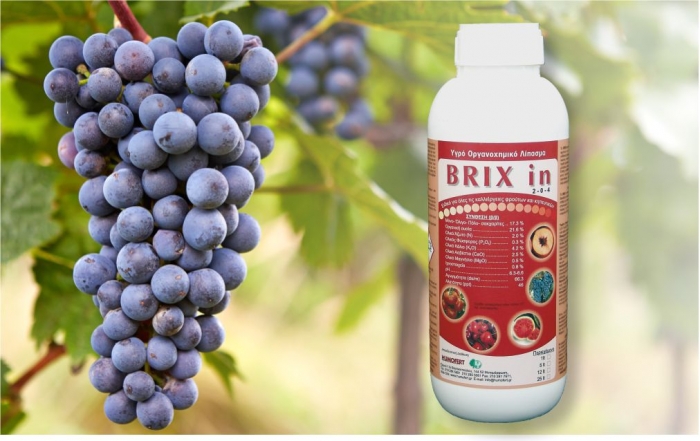 Brix-In: Για γρήγορη ωρίμανση, αύξηση σακχάρων, βελτίωση ποιότητας και μετασυλλεκτικής ικανότητας των καρπών