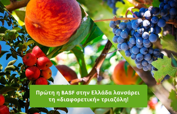Πρώτη η BASF στην Ελλάδα λανσάρει τη «διαφορετική» τριαζόλη!