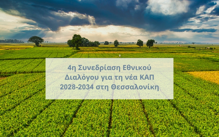 4&eta; &Sigma;&upsilon;&nu;&epsilon;&delta;&rho;ί&alpha;&sigma;&eta; &Epsilon;&theta;&nu;&iota;&kappa;&omicron;ύ &Delta;&iota;&alpha;&lambda;ό&gamma;&omicron;&upsilon; &gamma;&iota;&alpha; &tau;&eta; &nu;έ&alpha; &Kappa;&Alpha;&Pi; 2028-2034 &sigma;&tau;&eta; &Theta;&epsilon;&sigma;&sigma;&alpha;&lambda;&omicron;&nu;ί&kappa;&eta;
