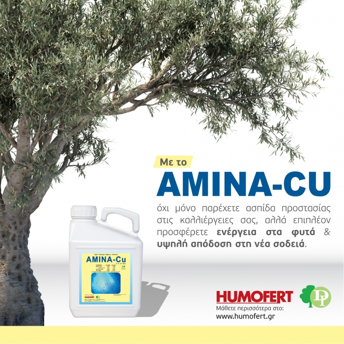 AMINA Cu - Συνδυάστε τις ευεργετικές ιδιότητες του Χαλκού με την ενέργεια και τη Βιοδιέγερση των Αμινοξέων