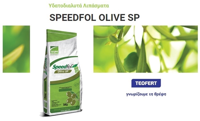 Ισορροπημένη ανάπτυξη ελαιόδεντρων με Speedfol Οlivo Primavera