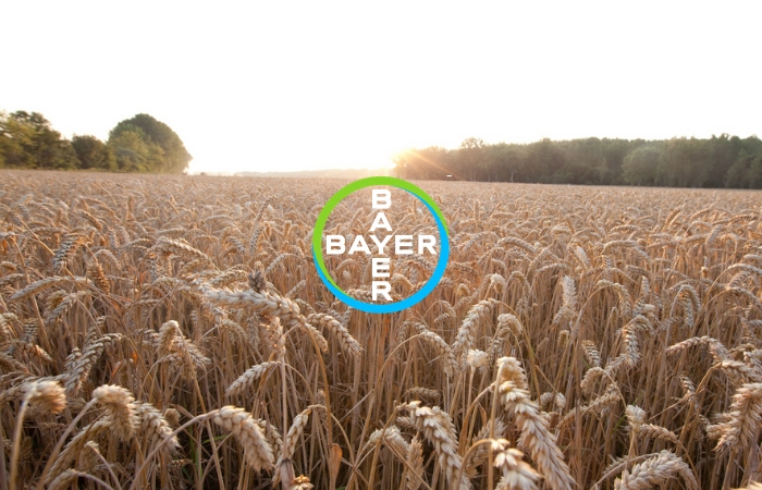 Η RAGT και η Bayer υπογράφουν συμφωνία για την ανάπτυξη υβριδικών σπόρων σιταριού για τις ευρωπαϊκές αγορές