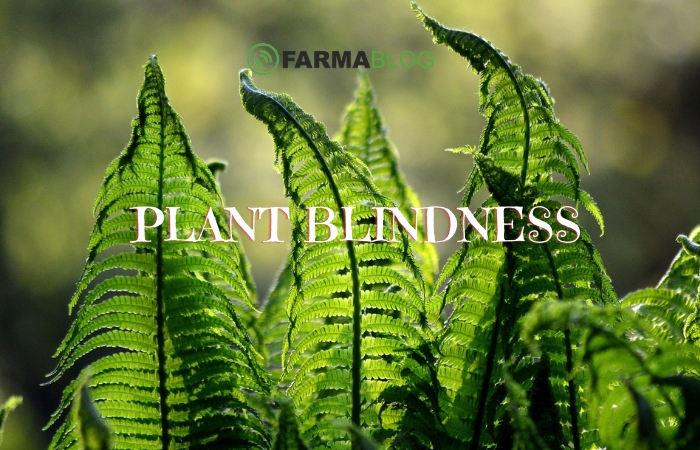 Ο όρος τυφλότητα προς τα φυτά «Plant Blindness» ως ένα εμπόδιο για την βιώσιμη ανάπτυξη