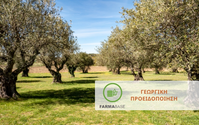 &Epsilon;&lambda;&iota;ά: &Pi;ώ&sigmaf; &pi;&rho;&omicron;&sigma;&tau;&alpha;&tau;&epsilon;ύ&omicron;&upsilon;&mu;&epsilon; &tau;&eta; &nu;έ&alpha; &beta;&lambda;ά&sigma;&tau;&eta;&sigma;&eta; &alpha;&pi;ό &epsilon;&chi;&theta;&rho;&omicron;ύ&sigmaf; &kappa;&alpha;&iota; &alpha;&sigma;&theta;έ&nu;&epsilon;&iota;&epsilon;&sigmaf;