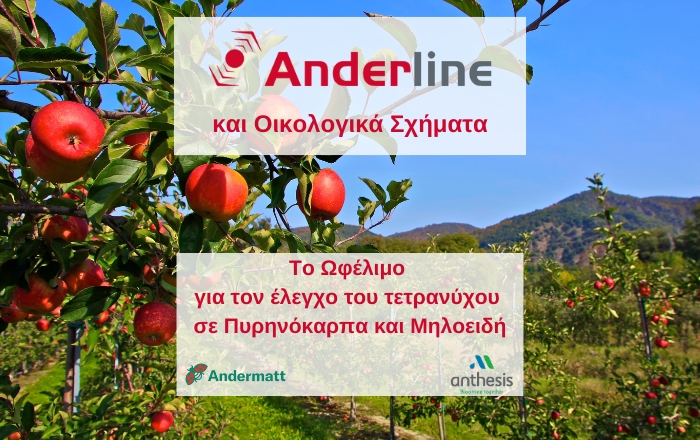 Anderline και Antholine, όπως Ecoschemes... Δύο προϊόντα ωφελίμων, πυλώνες στις δενδρώδεις καλλιέργειες για τον έλεγχο τετρανύχου και ψύλλας