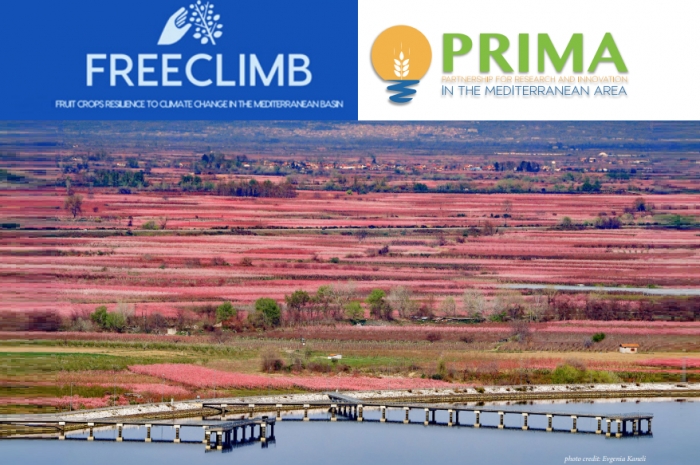 Ετήσια συνάντηση για την «Ανθεκτικότητα οπωροφόρων δενδρωδών καλλιεργειών της Μεσογειακής λεκάνης στην κλιματική αλλαγή»