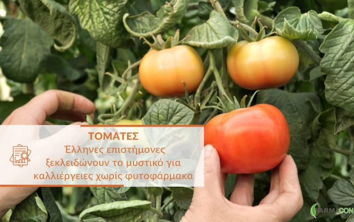 &Tau;&omicron;&mu;ά&tau;&epsilon;&sigmaf;: Έ&lambda;&lambda;&eta;&nu;&epsilon;&sigmaf; &epsilon;&pi;&iota;&sigma;&tau;ή&mu;&omicron;&nu;&epsilon;&sigmaf; &xi;&epsilon;&kappa;&lambda;&epsilon;&iota;&delta;ώ&nu;&omicron;&upsilon;&nu; &tau;&omicron; &mu;&upsilon;&sigma;&tau;&iota;&kappa;ό &gamma;&iota;&alpha; &kappa;&alpha;&lambda;&lambda;&iota;έ&rho;&gamma;&epsilon;&iota;&epsilon;&sigmaf; &chi;&omega;&rho;ί&sigmaf; &phi;&upsilon;&tau;&omicron;&phi;ά&rho;&mu;&alpha;&kappa;&alpha;