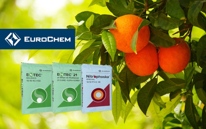 Λίπανση της EuroChem, για άρωμα και γεύση που ξεχωρίζουν