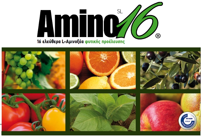 Amino16® – H πληρέστερη πηγή θρέψης