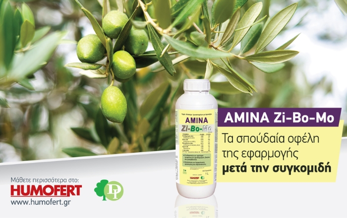 AMINA ZiBoMo: Τα σπουδαία οφέλη της μετασυλλεκτικής εφαρμογής του σε καλλιέργειες καρποφόρων δέντρων