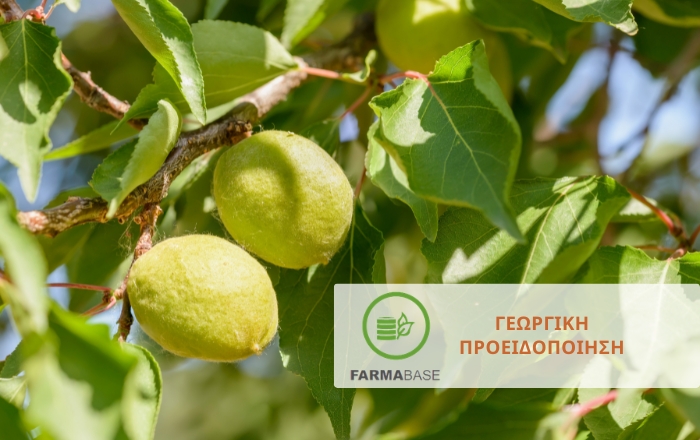 &Pi;&upsilon;&rho;&eta;&nu;ό&kappa;&alpha;&rho;&pi;&alpha;: &Pi;&omicron;&iota;&epsilon;&sigmaf; &alpha;&sigma;&theta;έ&nu;&epsilon;&iota;&epsilon;&sigmaf; &epsilon;&upsilon;&nu;&omicron;ή&theta;&eta;&kappa;&alpha;&nu; &alpha;&pi;ό &tau;&iota;&sigmaf; &alpha;&sigma;&tau;&alpha;&theta;&epsilon;ί&sigmaf; &kappa;&alpha;&iota;&rho;&iota;&kappa;έ&sigmaf; &sigma;&upsilon;&nu;&theta;ή&kappa;&epsilon;&sigmaf; &tau;&eta;&sigmaf; ά&nu;&omicron;&iota;&xi;&eta;&sigmaf;