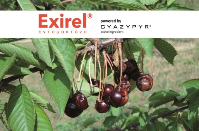 Άδεια διάθεσης στο εντομοκτόνο EXIREL® 10SE της FMC, για την αντιμετώπιση του Drosophila suzukii στο κεράσι