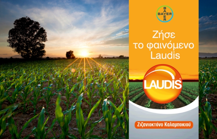 LAUDIS® - Η Καινοτομία στα Ζιζανιοκτόνα Καλαμποκιού