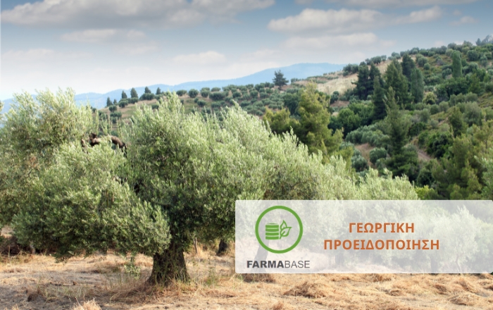 &Epsilon;&lambda;&iota;ά: &Omicron;&delta;&eta;&gamma;ό&sigmaf; &phi;&upsilon;&tau;&omicron;&pi;&rho;&omicron;&sigma;&tau;&alpha;&sigma;ί&alpha;&sigmaf; &kappa;&alpha;&tau;ά &tau;&eta;&nu; έ&kappa;&pi;&tau;&upsilon;&xi;&eta; &tau;&eta;&sigmaf; &nu;έ&alpha;&sigmaf; &beta;&lambda;ά&sigma;&tau;&eta;&sigma;&eta;&sigmaf;