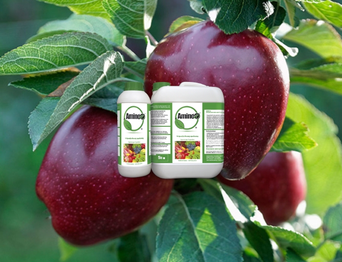 Αξιολόγηση της επίδρασης του Amino16®, στη βελτίωση της ποιότητας και απόδοσης στα μήλα