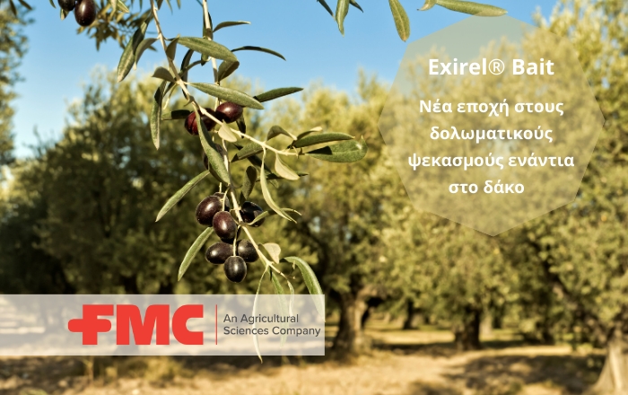 Exirel® Bait, ένα νέο εντομοκτόνο από την FMC Ελλάς, με μοναδικό τρόπο δράσης, ενάντια στο δάκο της ελιάς